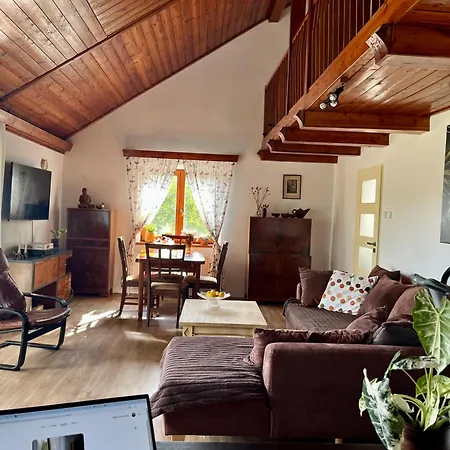 Dům Nad Střelou Vila Rabstejn Nad Strelou