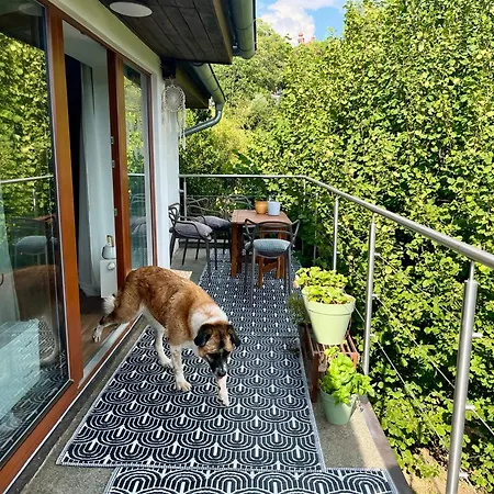Dům Nad Střelou Vila *