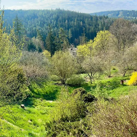 Villa Dum Nad Strelou Rabstejn Nad Strelou