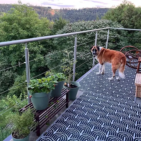 Dum Nad Strelou Villa Rabstejn Nad Strelou